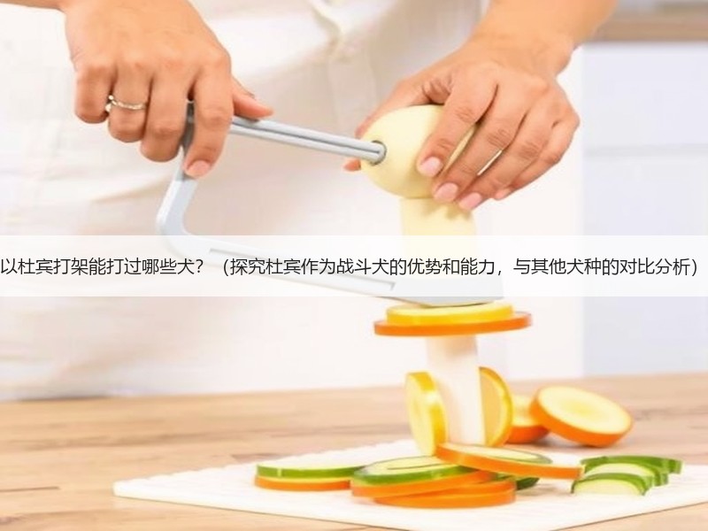 以杜宾打架能打过哪些犬？（探究杜宾作为战斗犬的优势和能力，与