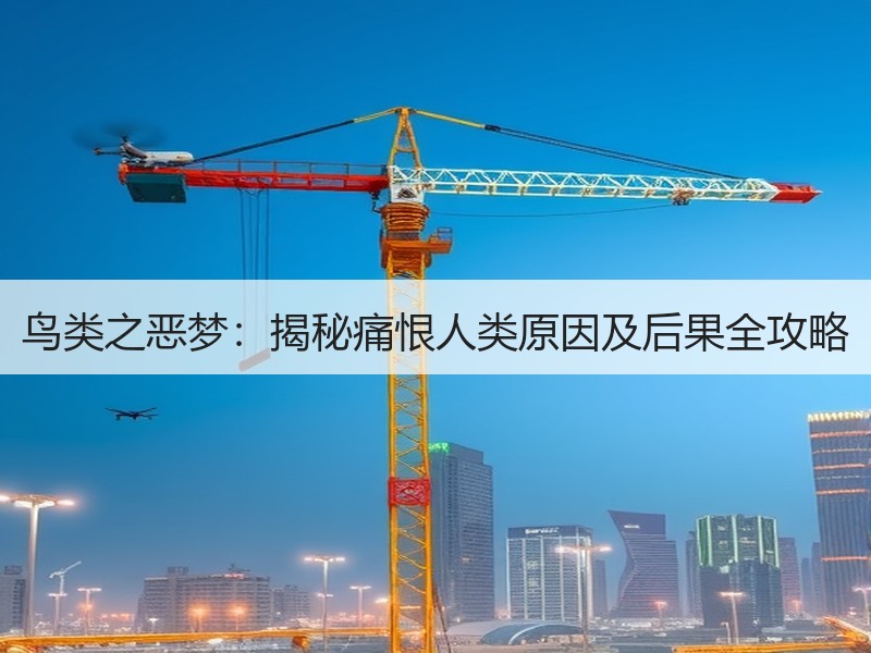 鸟类之恶梦：揭秘痛恨人类原因及后果全攻略