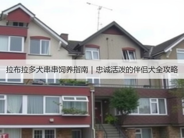 拉布拉多犬串串饲养指南|忠诚活泼的伴侣犬全攻略(图2) 拉布拉多犬串串饲养指南|忠诚活泼的伴侣犬全攻略(图2)