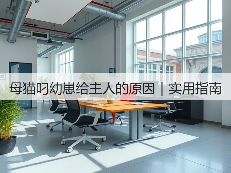 母猫叼幼崽给主人的原因｜实用指南