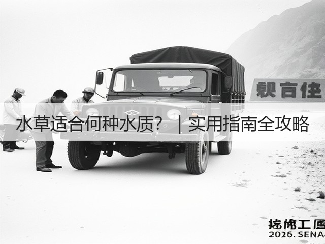 水草适合何种水质?|实用指南全攻略(图2) 水草适合何种水质?|实用指南全攻略(图2)