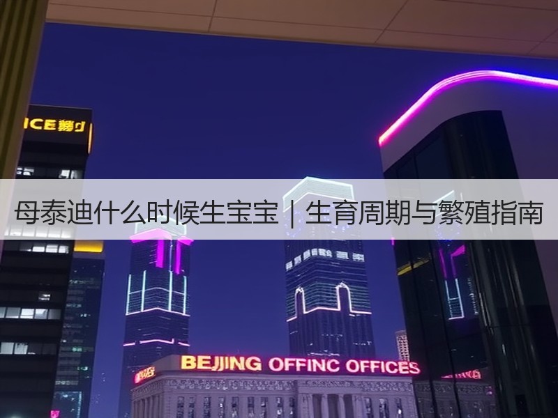 母泰迪什么时候生宝宝｜生育周期与繁殖指南