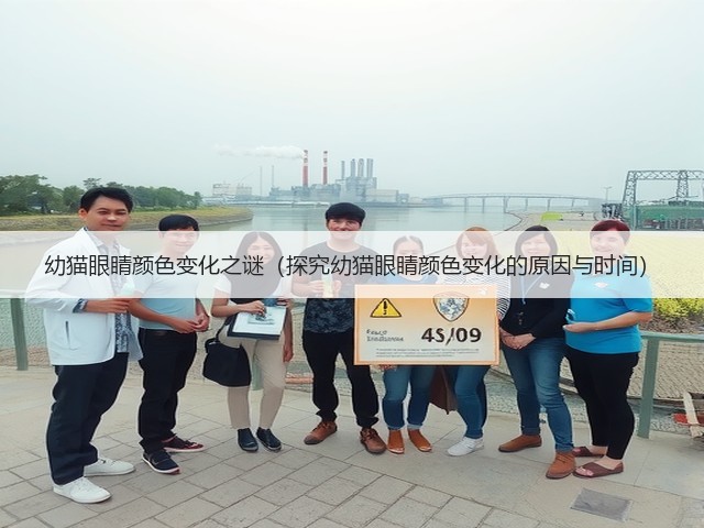 幼猫眼睛颜色变化之谜(探究幼猫眼睛颜色变化的原因与时间)(图3) 幼猫眼睛颜色变化之谜(探究幼猫眼睛颜色变化的原因与时间)(图3)