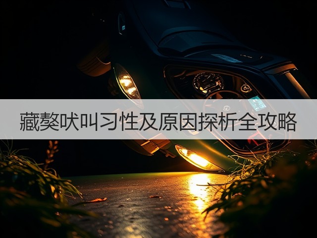 藏獒吠叫习性及原因探析全攻略(图1) 藏獒吠叫习性及原因探析全攻略(图1)