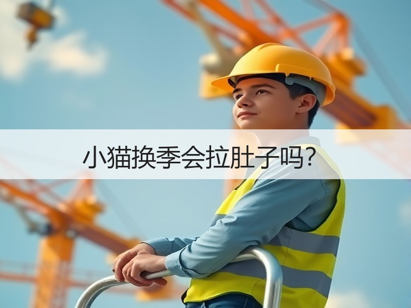 小猫换季会拉肚子吗？