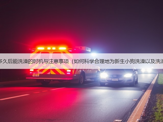 宠物狗生小狗多久后能洗澡的时机与注意事项（如何科学合理地为新生小狗洗澡以及洗澡前后的护理）(图1)