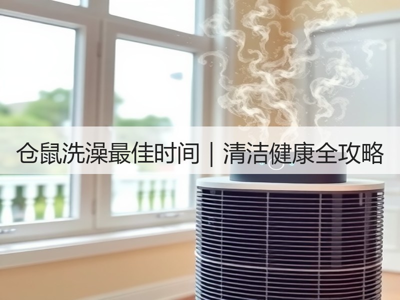 仓鼠洗澡最佳时间｜清洁健康全攻略