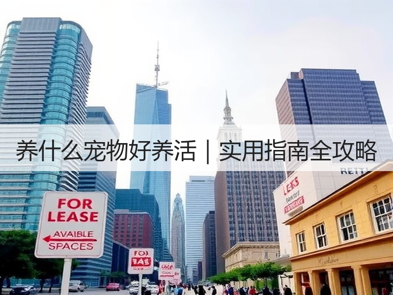 养什么宠物好养活｜实用指南全攻略