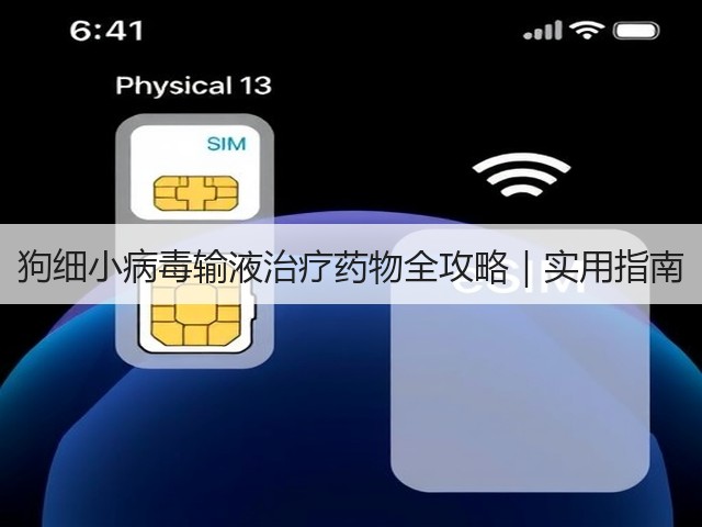 狗细小病毒输液治疗药物全攻略|实用指南(图1) 狗细小病毒输液治疗药物全攻略|实用指南(图1)