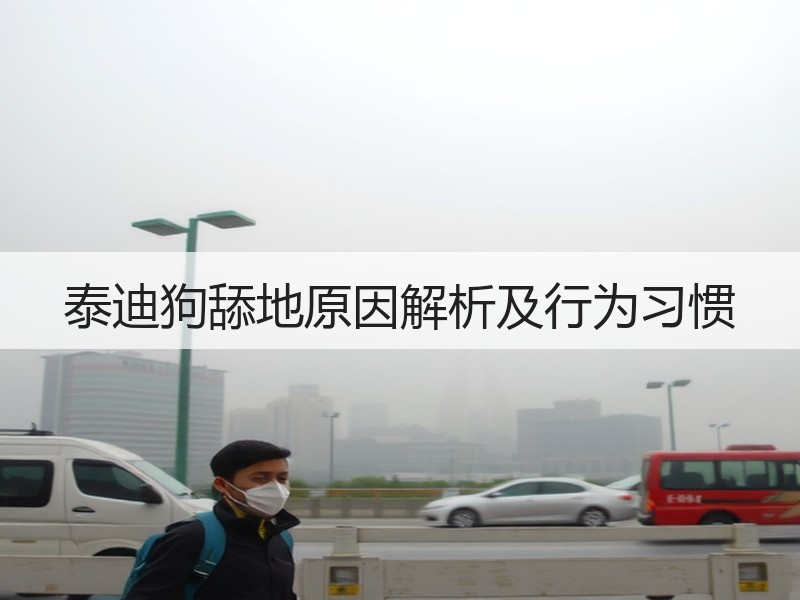 泰迪狗舔地原因解析及行为习惯