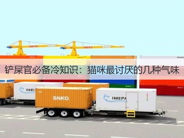 铲屎官必备冷知识:猫咪最讨厌的几种气味(图2) 铲屎官必备冷知识:猫咪最讨厌的几种气味(图2)