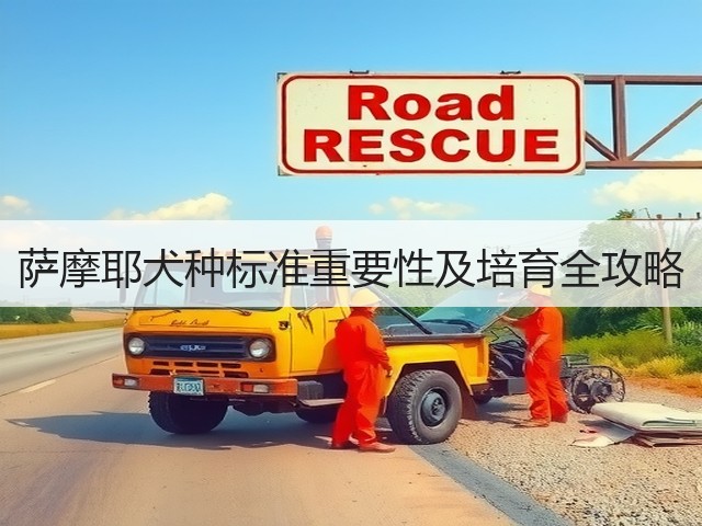 萨摩耶犬种标准重要性及培育全攻略(图2) 萨摩耶犬种标准重要性及培育全攻略(图2)