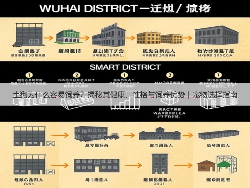 土狗为什么容易饲养？揭秘其健康、性格与饲养优势｜宠物选择指南