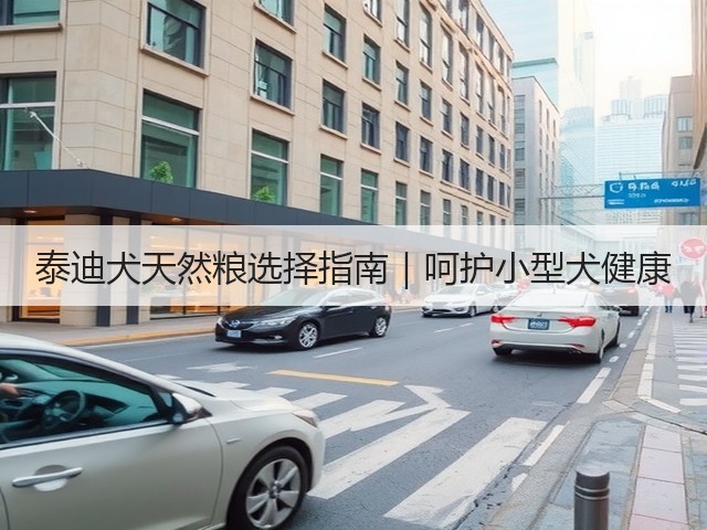 泰迪犬天然粮选择指南|呵护小型犬健康(图1) 泰迪犬天然粮选择指南|呵护小型犬健康(图1)