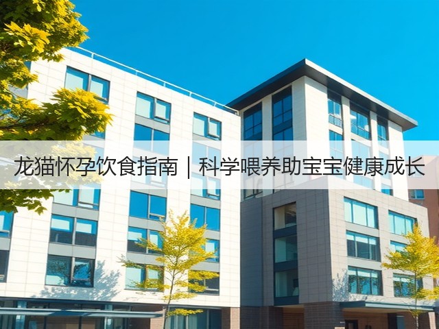 龙猫怀孕饮食指南|科学喂养助宝宝健康成长(图3) 龙猫怀孕饮食指南|科学喂养助宝宝健康成长(图3)