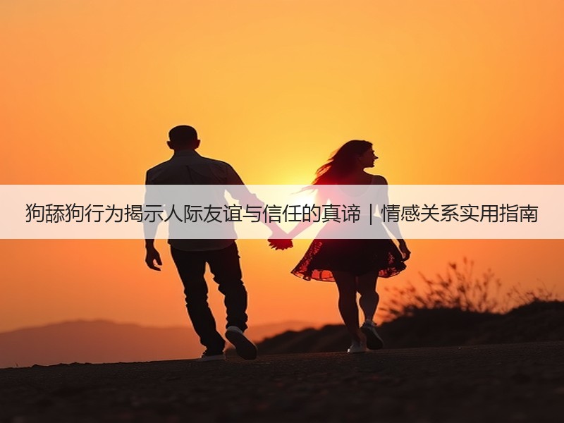 狗舔狗行为揭示人际友谊与信任的真谛｜情感关系实用指南
