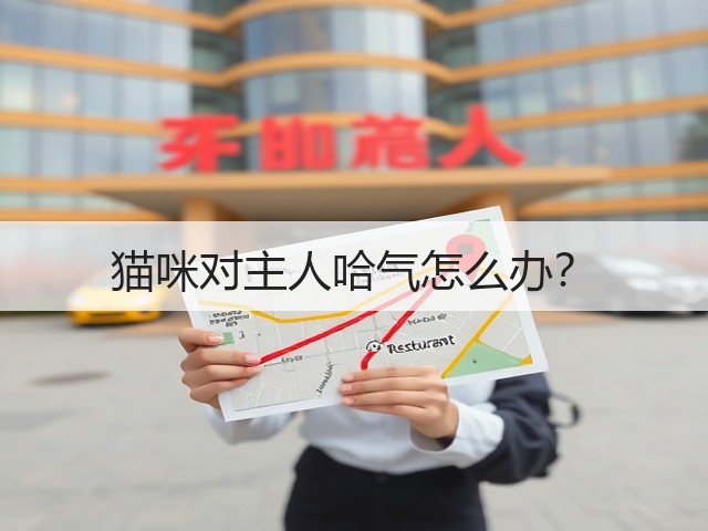 猫咪对主人哈气怎么办?(图1) 猫咪对主人哈气怎么办?(图1)