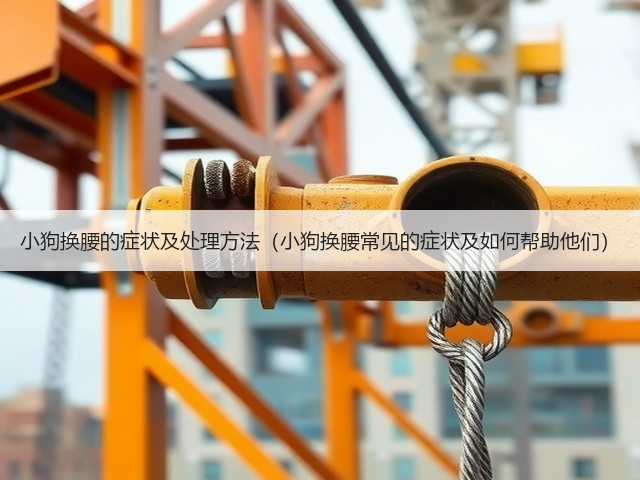 小狗换腰的症状及处理方法(小狗换腰常见的症状及如何帮助他们)(图2) 小狗换腰的症状及处理方法(小狗换腰常见的症状及如何帮助他们)(图2)