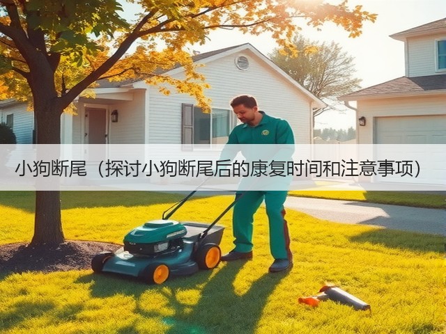 小狗断尾(探讨小狗断尾后的康复时间和注意事项)(图2) 小狗断尾(探讨小狗断尾后的康复时间和注意事项)(图2)