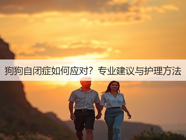 狗狗自闭症如何应对？专业建议与护理方法(图3)