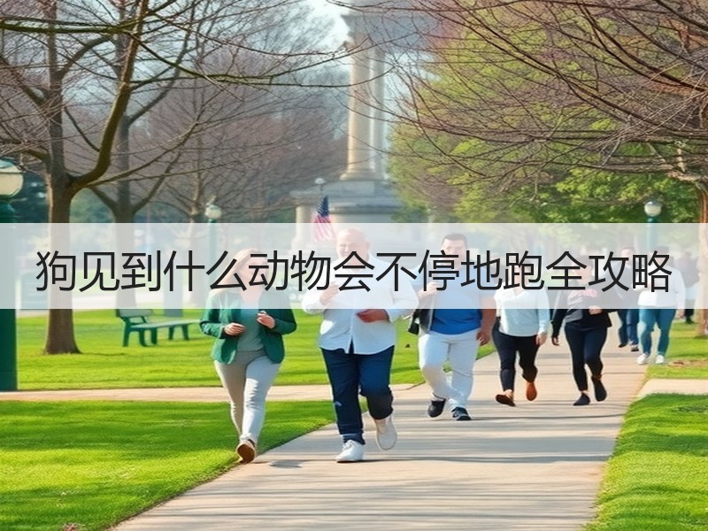 狗见到什么动物会不停地跑全攻略