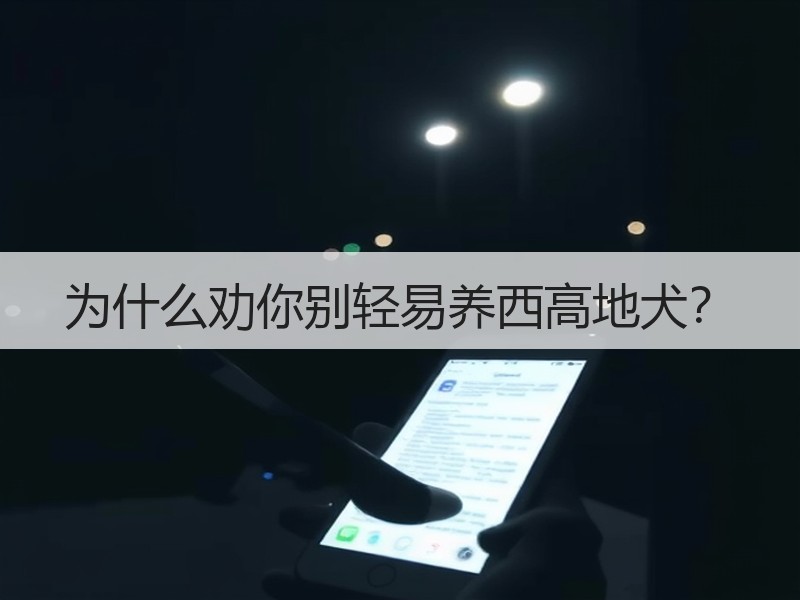 为什么劝你别轻易养西高地犬？
