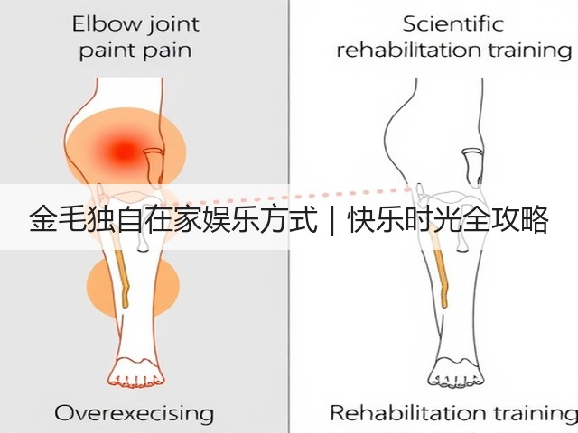 金毛独自在家娱乐方式|快乐时光全攻略(图3) 金毛独自在家娱乐方式|快乐时光全攻略(图3)