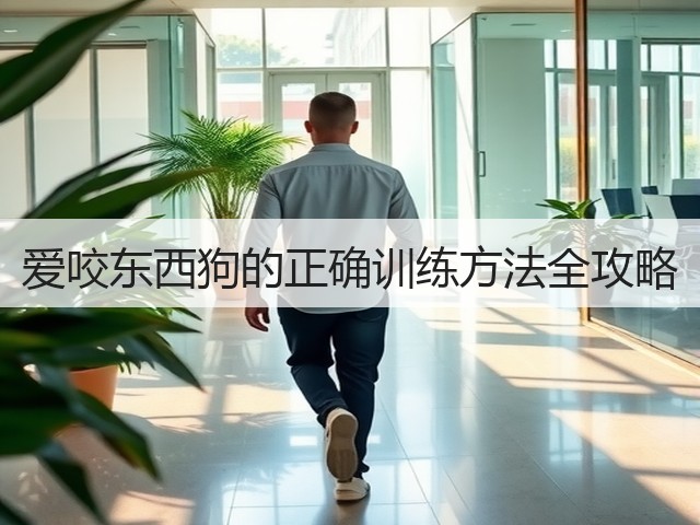 爱咬东西狗的正确训练方法全攻略(图1) 爱咬东西狗的正确训练方法全攻略(图1)