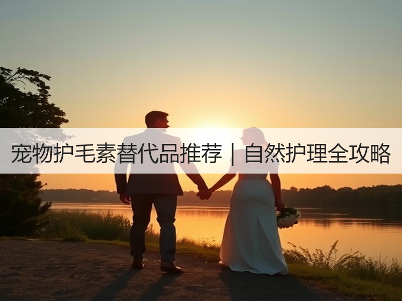 宠物护毛素替代品推荐｜自然护理全攻略