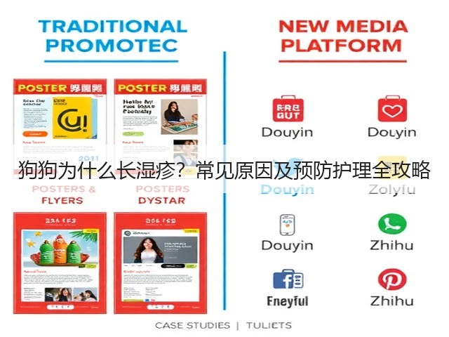狗狗为什么长湿疹?常见原因及预防护理全攻略(图2) 狗狗为什么长湿疹?常见原因及预防护理全攻略(图2)
