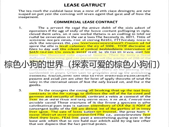 棕色小狗的世界(探索可爱的棕色小狗们)(图3) 棕色小狗的世界(探索可爱的棕色小狗们)(图3)