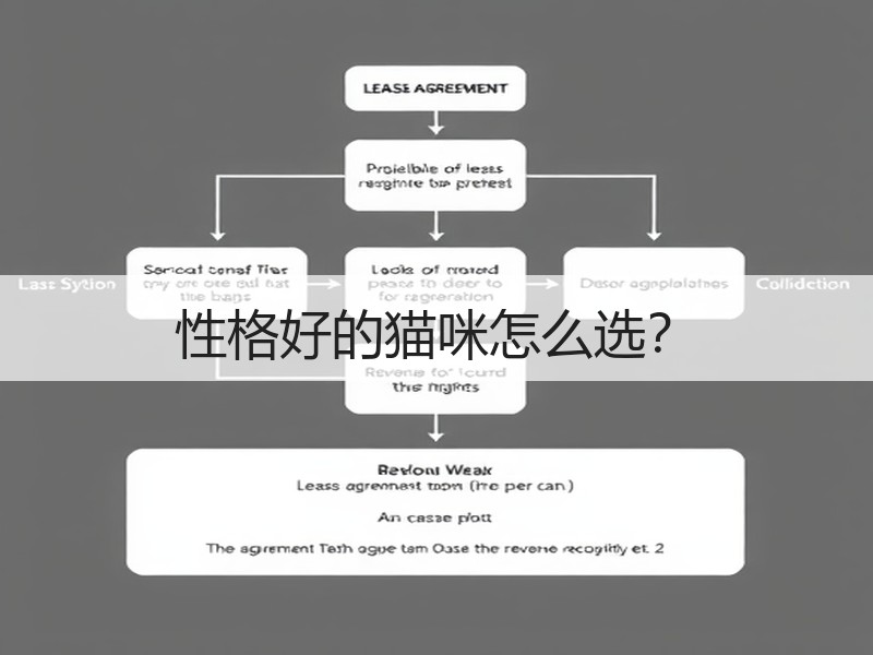 性格好的猫咪怎么选？