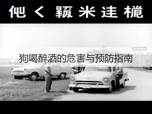 狗喝醉酒的危害与预防指南(图1) 狗喝醉酒的危害与预防指南(图1)
