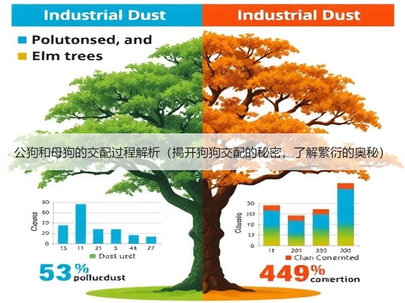 公狗和母狗的交配过程解析（揭开狗狗交配的秘密，了解繁衍的奥秘）