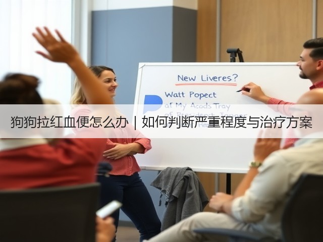 狗狗拉红血便怎么办｜如何判断严重程度与治疗方案(图3)