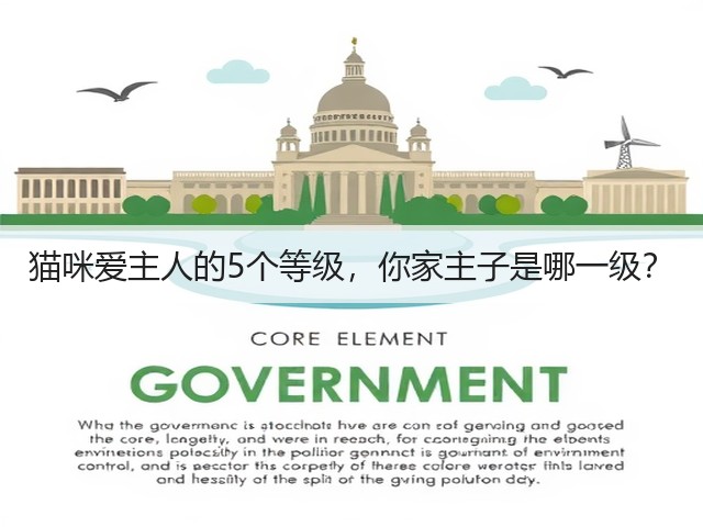 猫咪爱主人的5个等级,你家主子是哪一级?(图1) 猫咪爱主人的5个等级,你家主子是哪一级?(图1)