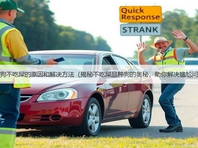 品种狗不吃屎的原因和解决方法(揭秘不吃屎品种狗的奥秘,助你解决尴尬问题)(图2) 品种狗不吃屎的原因和解决方法(揭秘不吃屎品种狗的奥秘,助你解决尴尬问题)(图2)