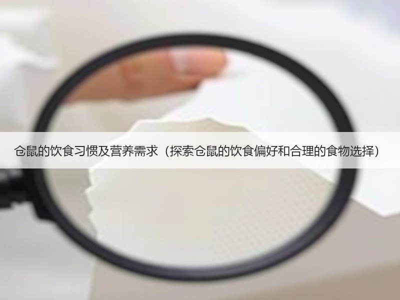 仓鼠的饮食习惯及营养需求（探索仓鼠的饮食偏好和合理的食物选择）