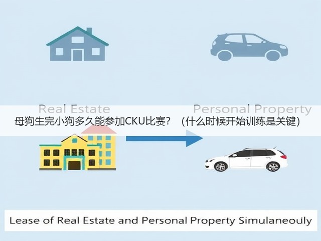 母狗生完小狗多久能参加CKU比赛?(什么时候开始训练是关键)(图2) 母狗生完小狗多久能参加CKU比赛?(什么时候开始训练是关键)(图2)