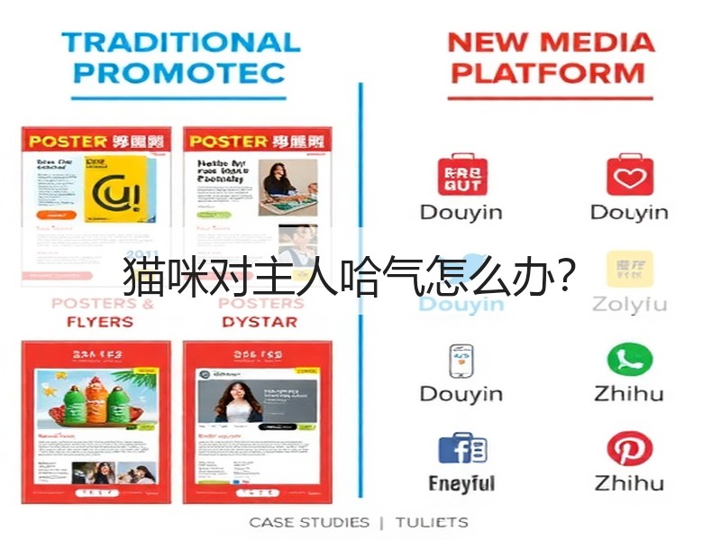 猫咪对主人哈气怎么办？