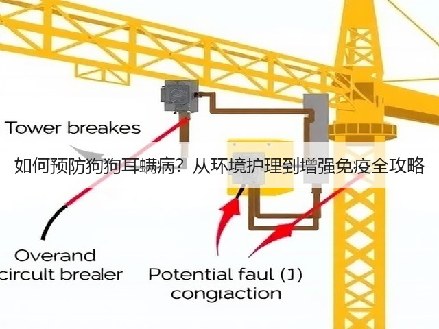 如何预防狗狗耳螨病？从环境护理到增强免疫全攻略(图2)