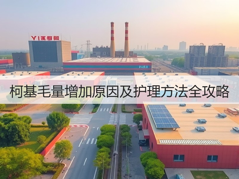 柯基毛量增加原因及护理方法全攻略