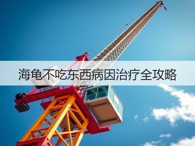 海龟不吃东西病因治疗全攻略(图1) 海龟不吃东西病因治疗全攻略(图1)