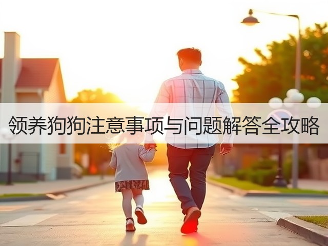 领养狗狗注意事项与问题解答全攻略(图2) 领养狗狗注意事项与问题解答全攻略(图2)