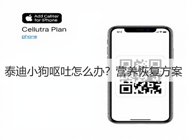泰迪小狗呕吐怎么办?营养恢复方案(图3) 泰迪小狗呕吐怎么办?营养恢复方案(图3)