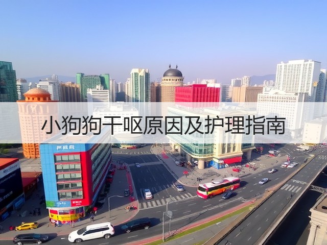 小狗狗干呕原因及护理指南(图3) 小狗狗干呕原因及护理指南(图3)