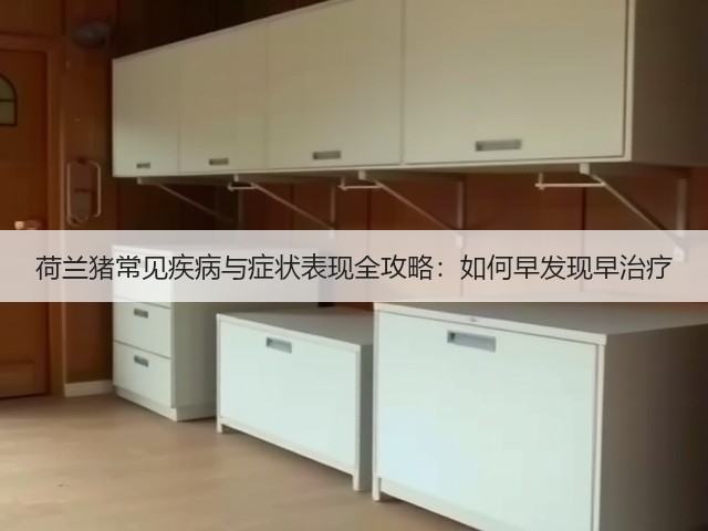 荷兰猪常见疾病与症状表现全攻略：如何早发现早治疗(图1)