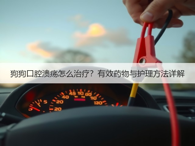 狗狗口腔溃疡怎么治疗?有效药物与护理方法详解(图1) 狗狗口腔溃疡怎么治疗?有效药物与护理方法详解(图1)