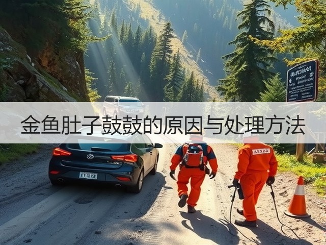 金鱼肚子鼓鼓的原因与处理方法(图1) 金鱼肚子鼓鼓的原因与处理方法(图1)