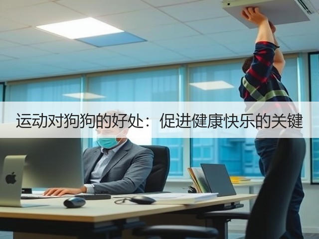 运动对狗狗的好处:促进健康快乐的关键(图2) 运动对狗狗的好处:促进健康快乐的关键(图2)